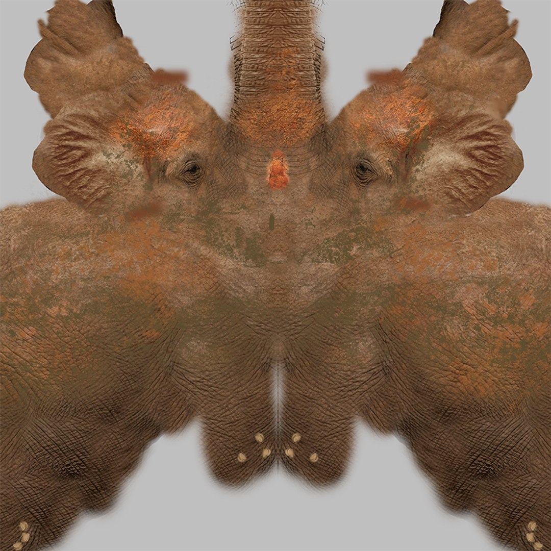 3D African Elephant RIGGED L2355 model https://p.turbosquid.com/ts-thumb/a9/igNdeb/fD/019/png/1744070634/1920x1080/fit_q87/d778cdddd09ff3ffebdf60b7d2de30c4e7f9002d/019.jpg