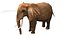 アフリカゾウ リグド L2355