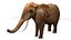 アフリカゾウ リグド L2355