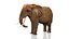 アフリカゾウ リグド L2355