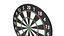 3D Dartboard model