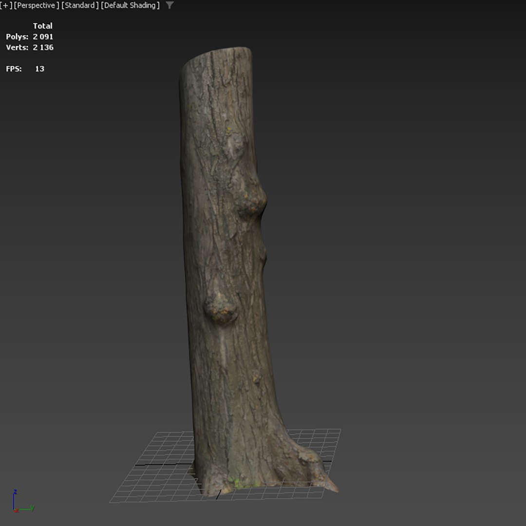 Black poplar trunk scan PBR 8K 3D model https://p.turbosquid.com/ts-thumb/a9/uIoF2E/gc/black_poplar01/jpg/1730538524/1920x1080/fit_q87/bd2c17f6b8ed3f13d8f1525b62730f3e1bcd0ced/black_poplar01.jpg