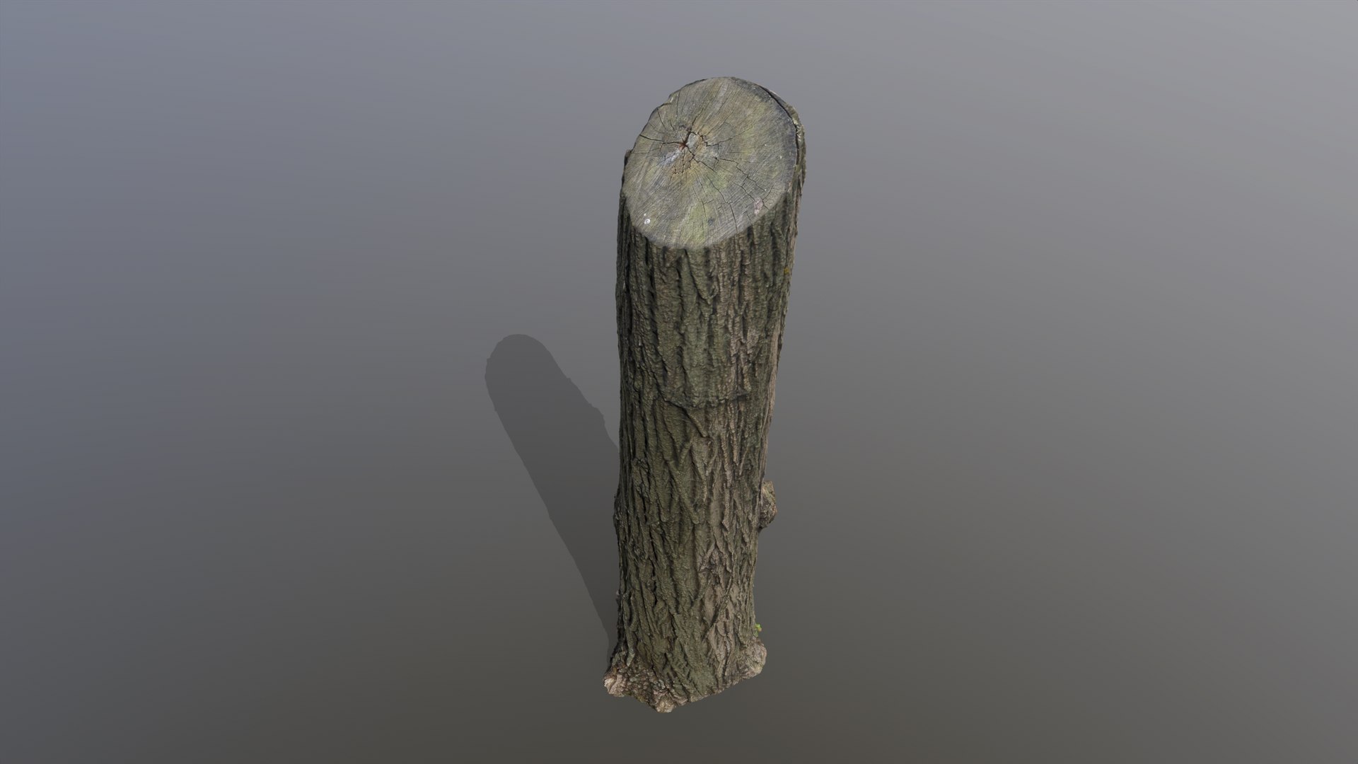Black poplar trunk scan PBR 8K 3D model https://p.turbosquid.com/ts-thumb/a9/uIoF2E/rR/black_poplar03_fullquality_003/png/1730544637/1920x1080/fit_q87/70222fdc9215f48d5b23101c84a4464f9b0c387e/black_poplar03_fullquality_003.jpg