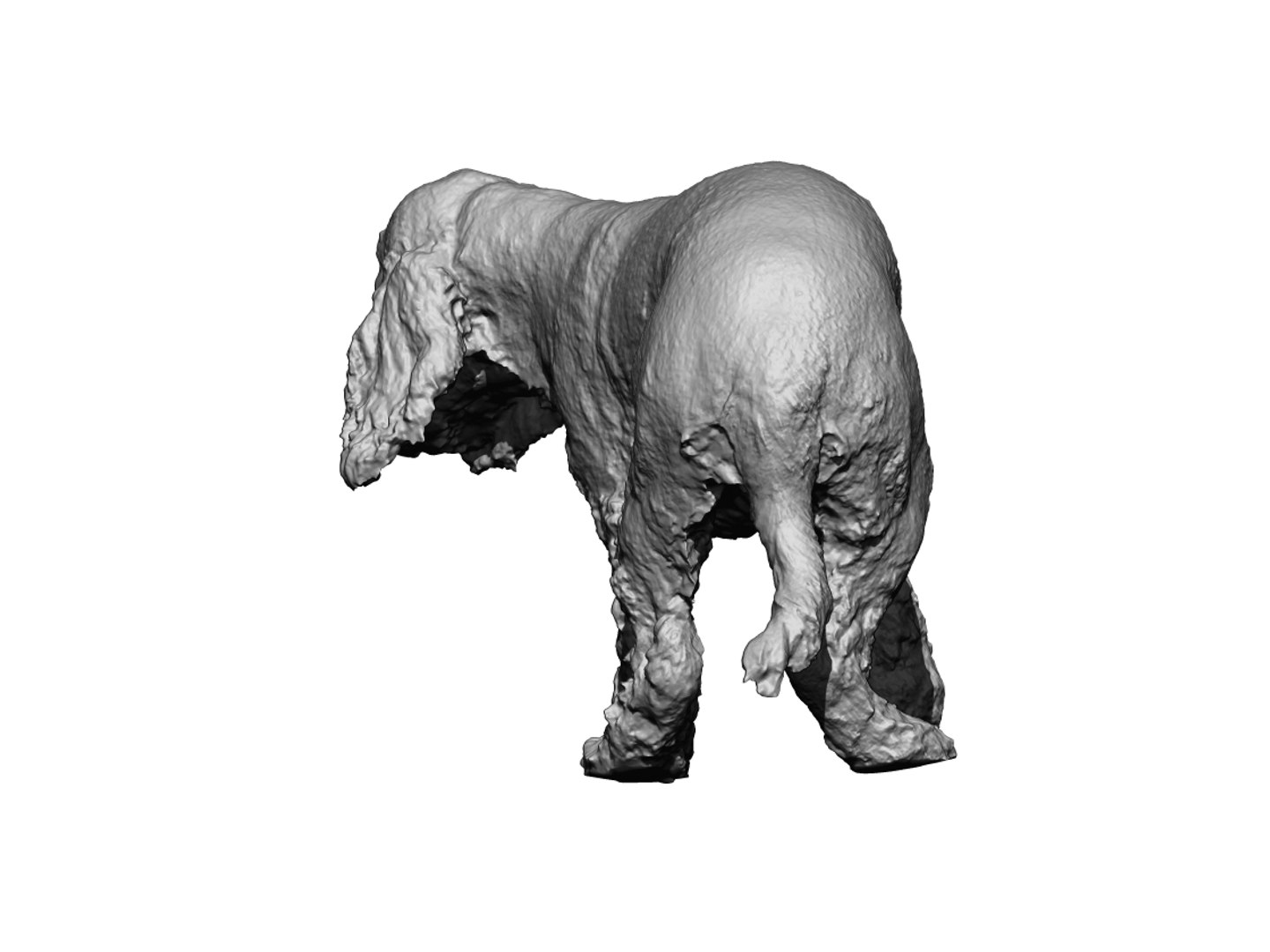 3D photogrammetry dog https://p.turbosquid.com/ts-thumb/a9/wwDHTs/5MOTmWfJ/5/jpg/1542904924/1920x1080/fit_q87/09ee63a4a6fd497493610a90de83da1e78e4b96f/5.jpg