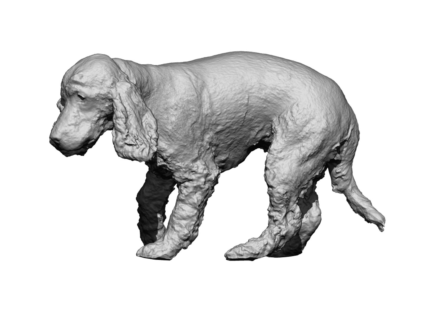 3D photogrammetry dog https://p.turbosquid.com/ts-thumb/a9/wwDHTs/GYz6kpH7/4/jpg/1542904915/1920x1080/fit_q87/83ad230a9e2bfd441b8bf8010670aeb67801e62d/4.jpg