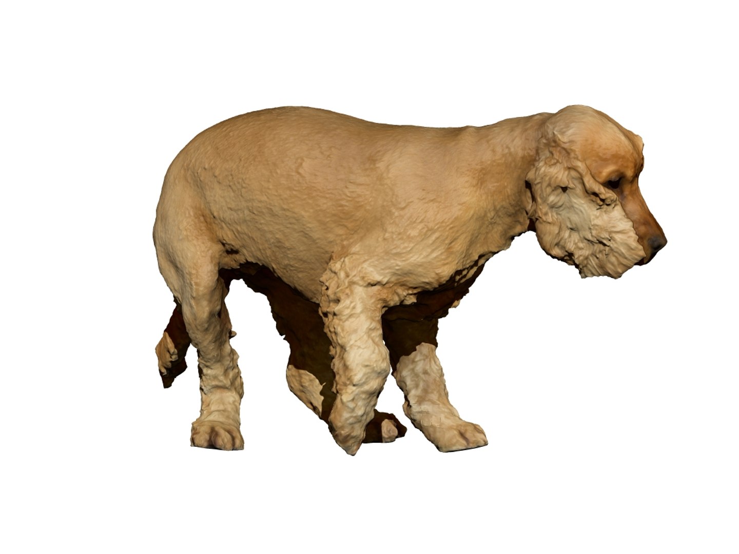 3D photogrammetry dog https://p.turbosquid.com/ts-thumb/a9/wwDHTs/bb9Fgfja/7/jpg/1542904950/1920x1080/fit_q87/0d2f118e06fac68f4fdfaa137d6c7da81cd46462/7.jpg