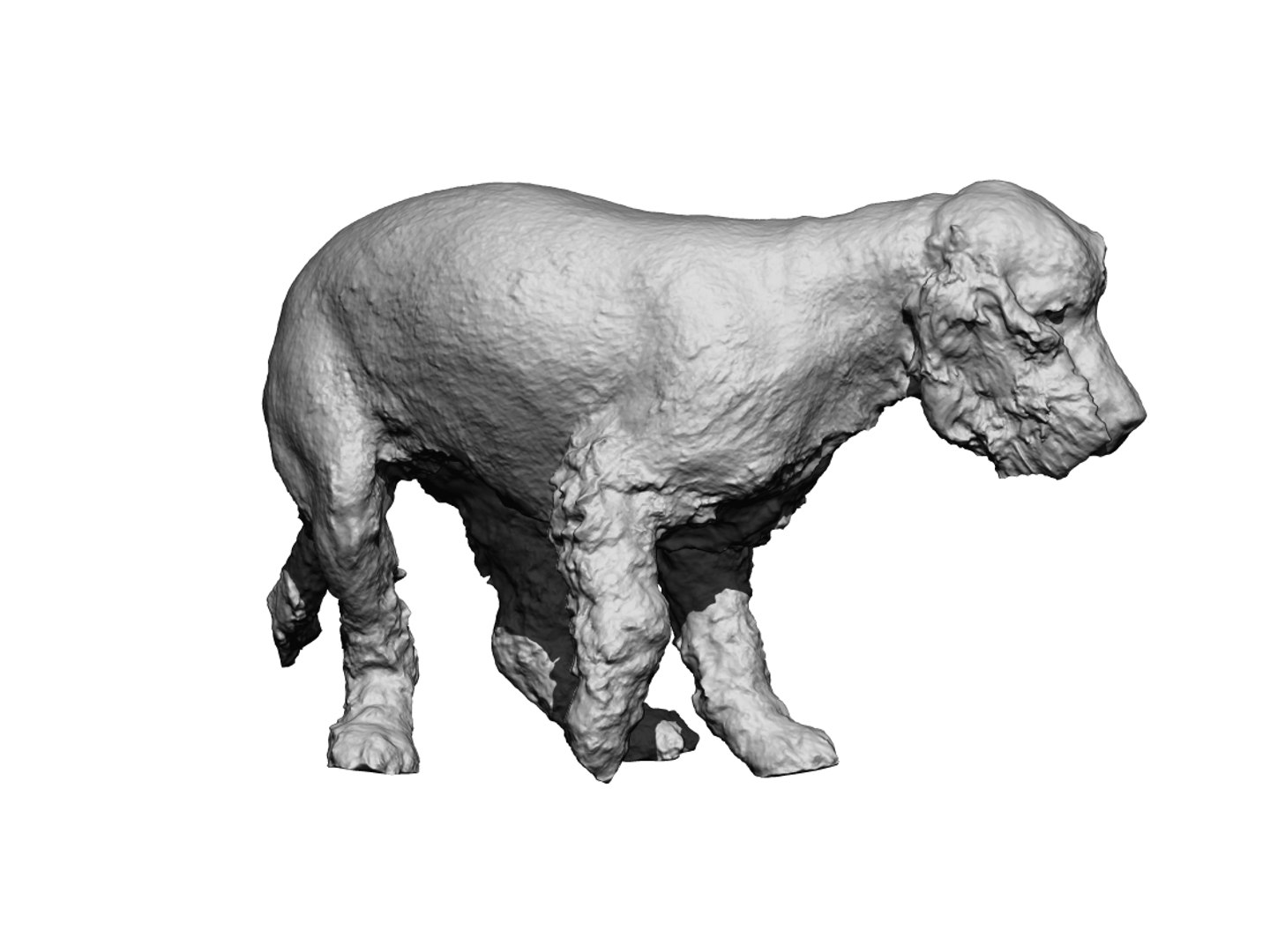 3D photogrammetry dog https://p.turbosquid.com/ts-thumb/a9/wwDHTs/fiDjs2P2/8/jpg/1542904965/1920x1080/fit_q87/898d718a6e411f46effacd86228a231c853683ca/8.jpg