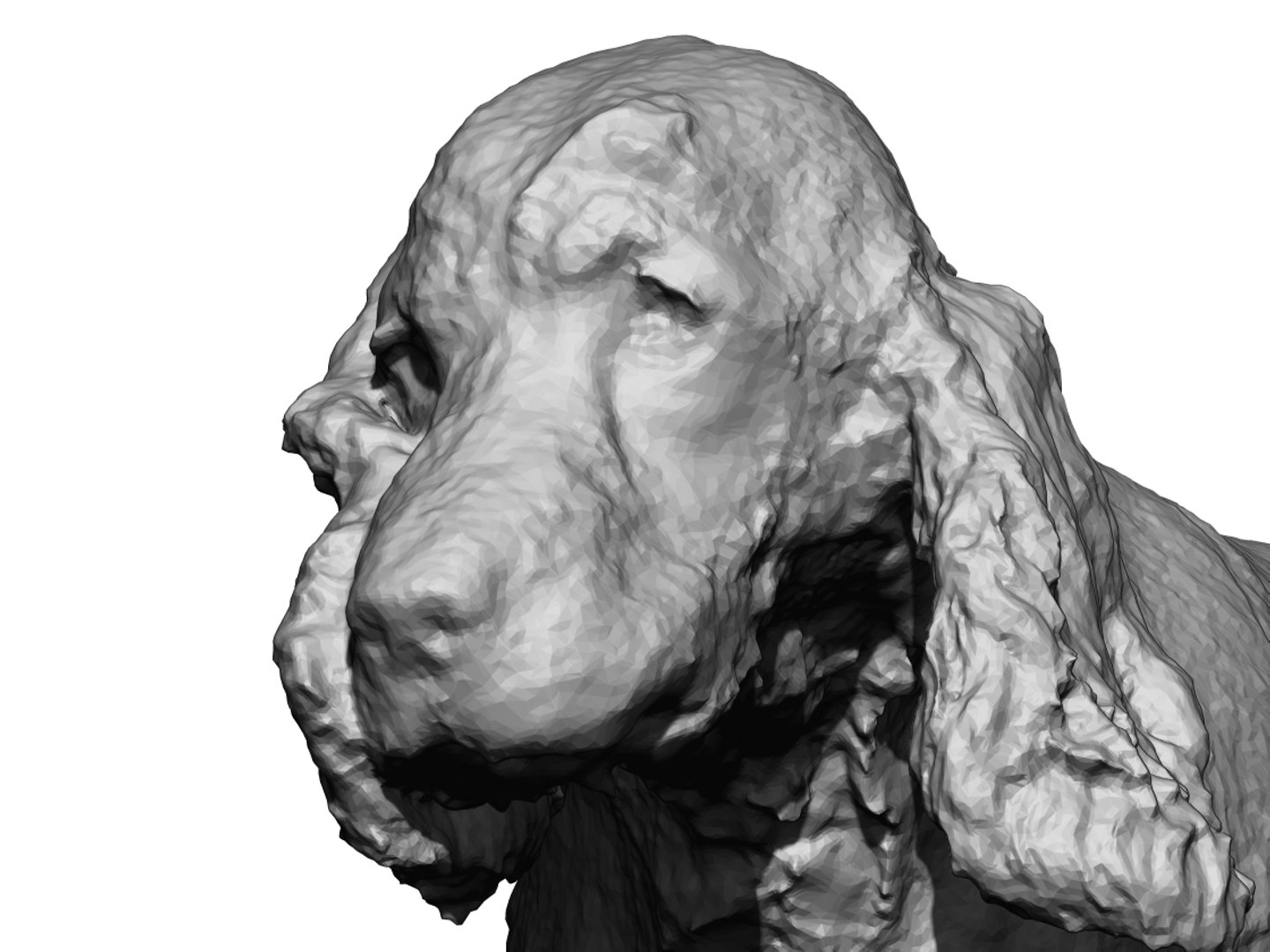 3D photogrammetry dog https://p.turbosquid.com/ts-thumb/a9/wwDHTs/ptrGCTpH/14/jpg/1542905032/1920x1080/fit_q87/c9989d0aef50612293ea3b7c9562531d6c623a5d/14.jpg