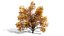 Realistic North American Riparian Trees 3D model