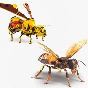 Honey Bee with Robot Bee Rigged for Maya Collection 3D model