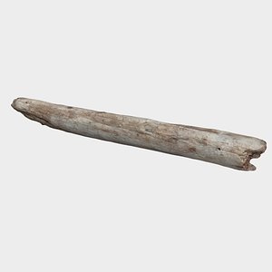 Driftwood Log