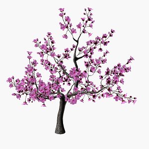 Cherry blossom tree 3D