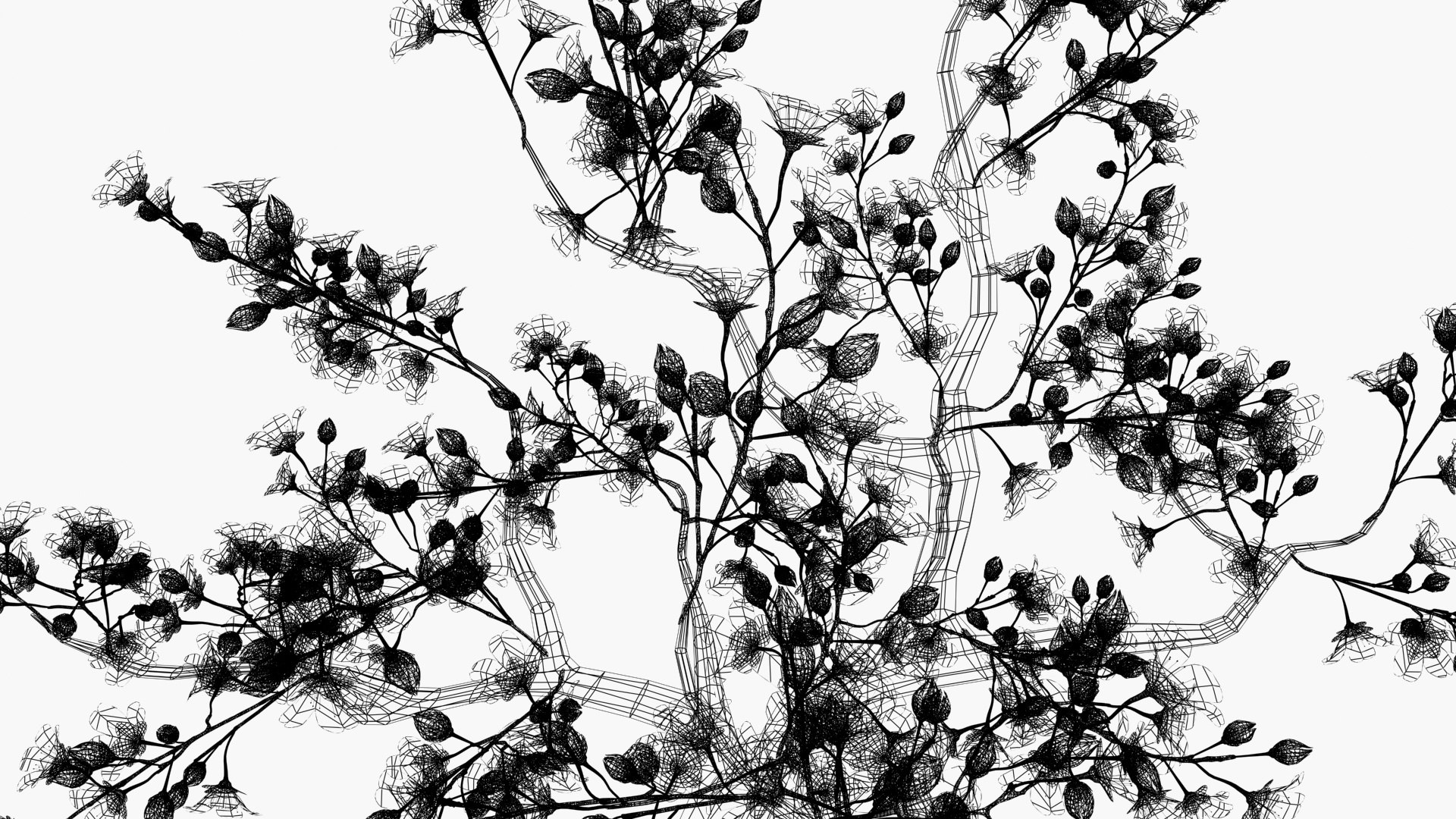Cherry blossom tree 3D https://p.turbosquid.com/ts-thumb/aA/RdWOet/Hc/wireframe/jpg/1742733253/1920x1080/fit_q87/3bbe05e0d25c9936cb227304fe1827bb3bd93b3a/wireframe.jpg