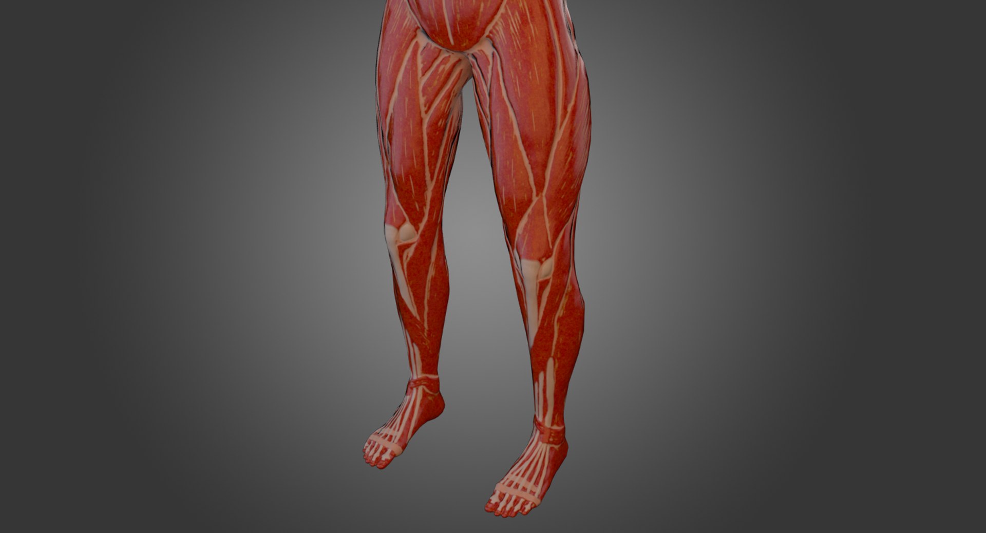 3d model human rigged https://p.turbosquid.com/ts-thumb/aA/RxI7dC/4QMEhWDo/33/png/1471977265/1920x1080/fit_q87/5bbd3e002a94cda9012e012c2ba108574a8dc714/33.jpg