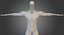 Anatomía del cuerpo muscular masculino (aparejado)