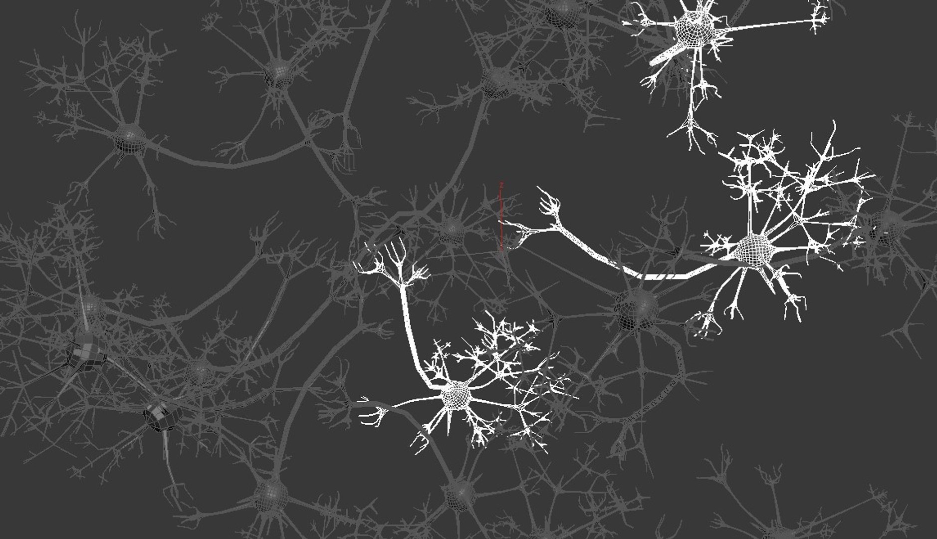 3D neurons model - TurboSquid 1241746