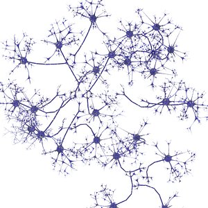 3D neurons model