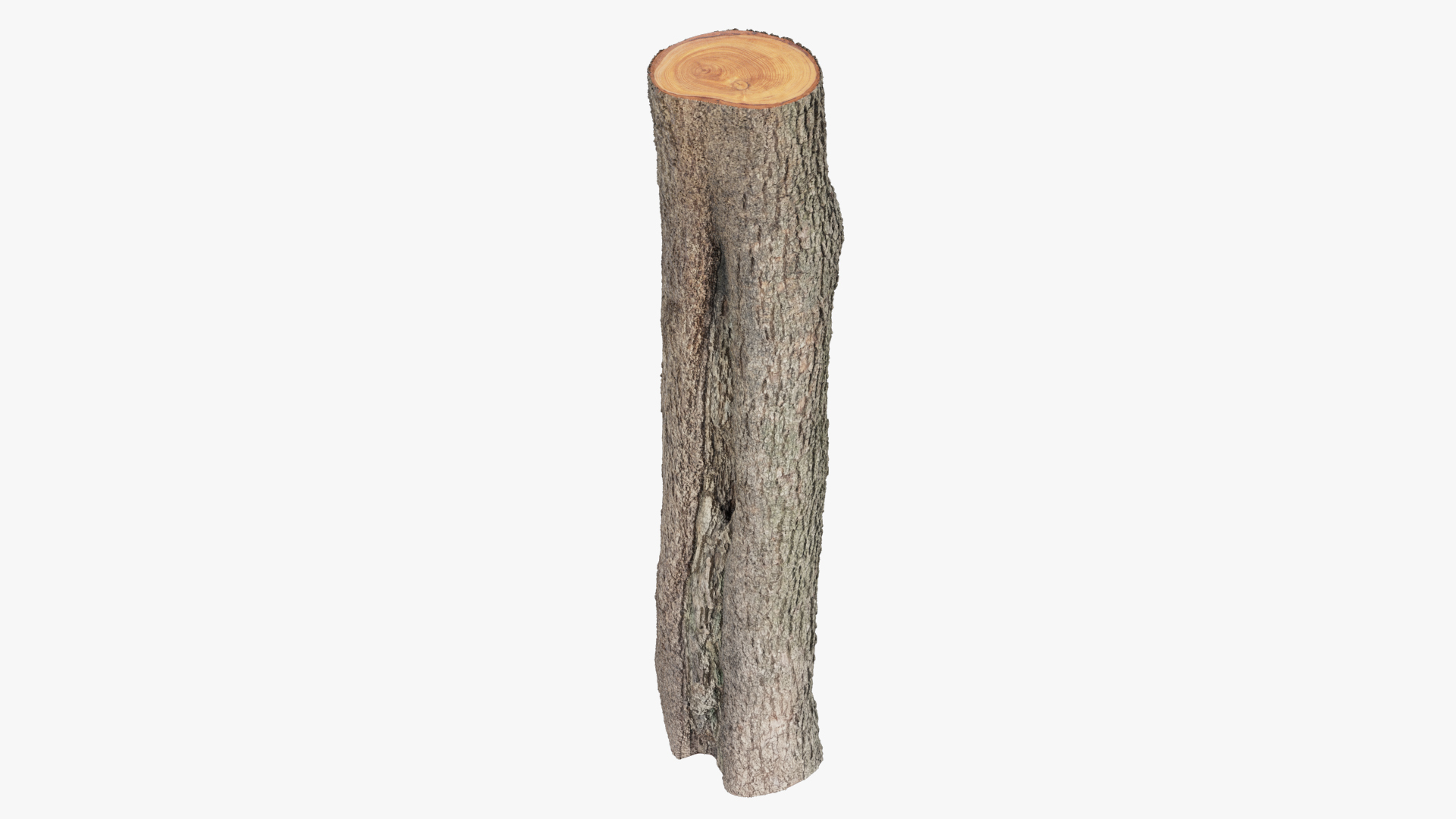 Logs Collection V6 3D model https://p.turbosquid.com/ts-thumb/aA/mOvprl/Kn/log1render/jpg/1691693706/1920x1080/turn_fit_q99/6eca4b9e73345351d12d0f8beff5f306ce036be4/log1render-1.jpg