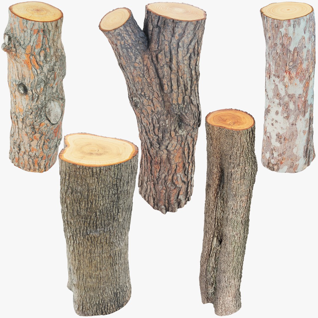Logs Collection V6 3D model https://p.turbosquid.com/ts-thumb/aA/mOvprl/MN/logc6_001/png/1695777211/1920x1080/fit_q87/29d6facc0e05cdfccb007026bbb0a2e90b13489e/logc6_001.jpg