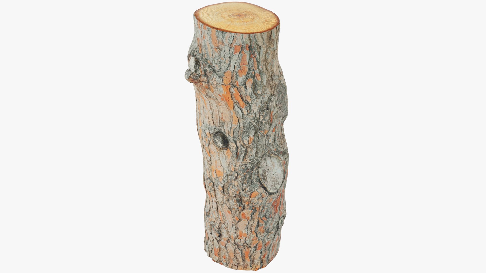 Logs Collection V6 3D model https://p.turbosquid.com/ts-thumb/aA/mOvprl/SY/pl1_001/png/1695777647/1920x1080/fit_q87/bfd7bb7203be4bae61fc4b15754c1e832dba6140/pl1_001.jpg