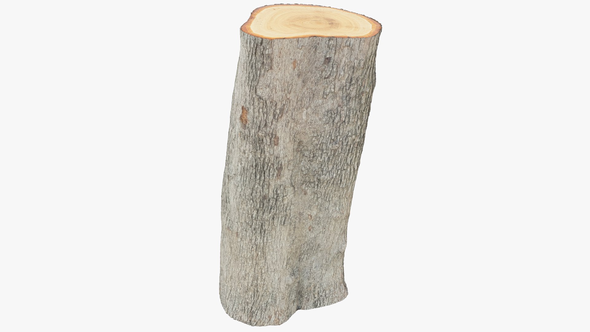 Logs Collection V6 3D model https://p.turbosquid.com/ts-thumb/aA/mOvprl/YY/log2_004_008/png/1695777984/1920x1080/fit_q87/df2dcdabf0f0cfecb0ed1d321ff2860e66071e67/log2_004_008.jpg