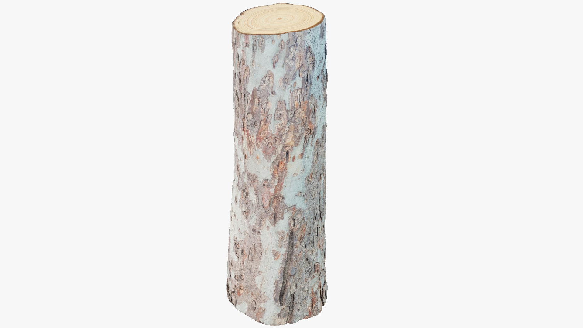 Logs Collection V6 3D model https://p.turbosquid.com/ts-thumb/aA/mOvprl/g1/log4_004_001/png/1695778243/1920x1080/fit_q87/d8922d5a8ea78981ddddeb8b6bde938a22c5da58/log4_004_001.jpg