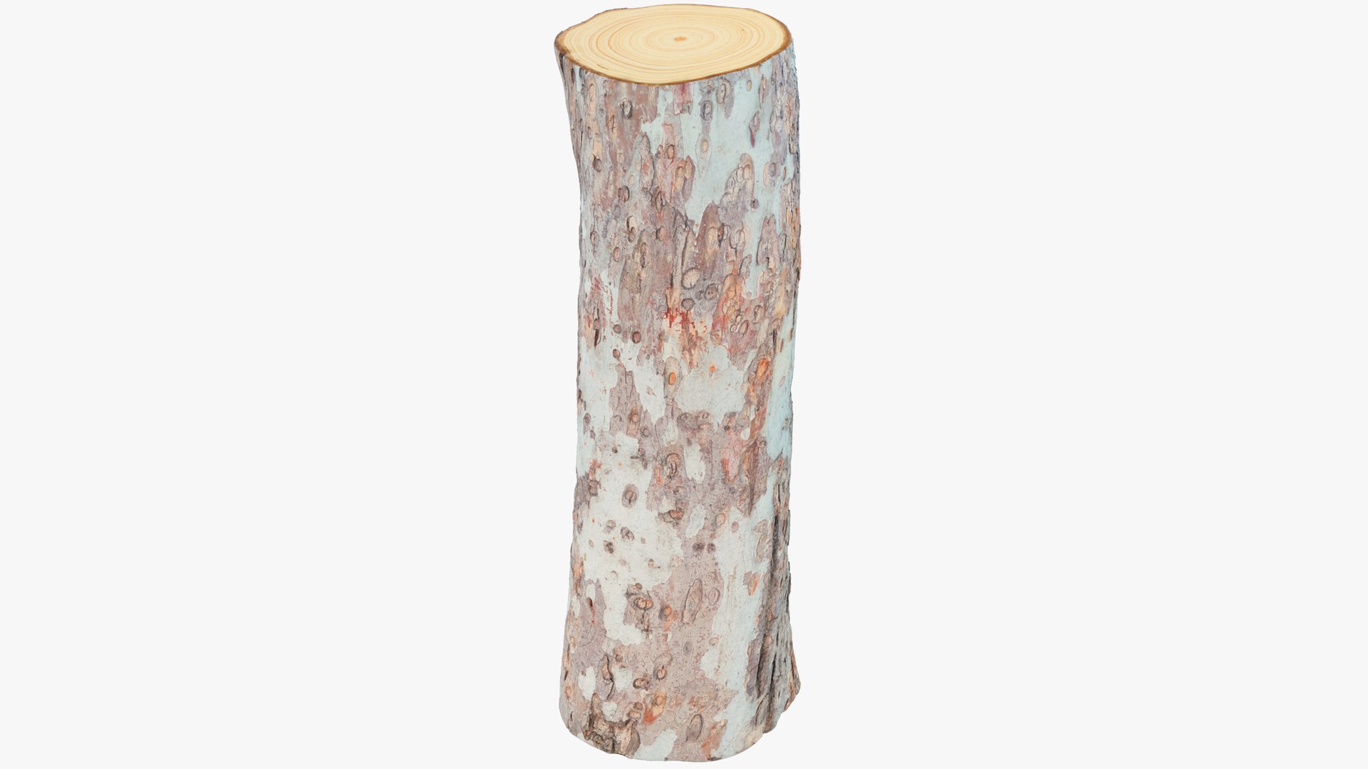 Logs Collection V6 3D model https://p.turbosquid.com/ts-thumb/aA/mOvprl/lB/log4_001/png/1695778252/1920x1080/fit_q87/19596320680c6031528829d44b4a439f51ee553a/log4_001.jpg