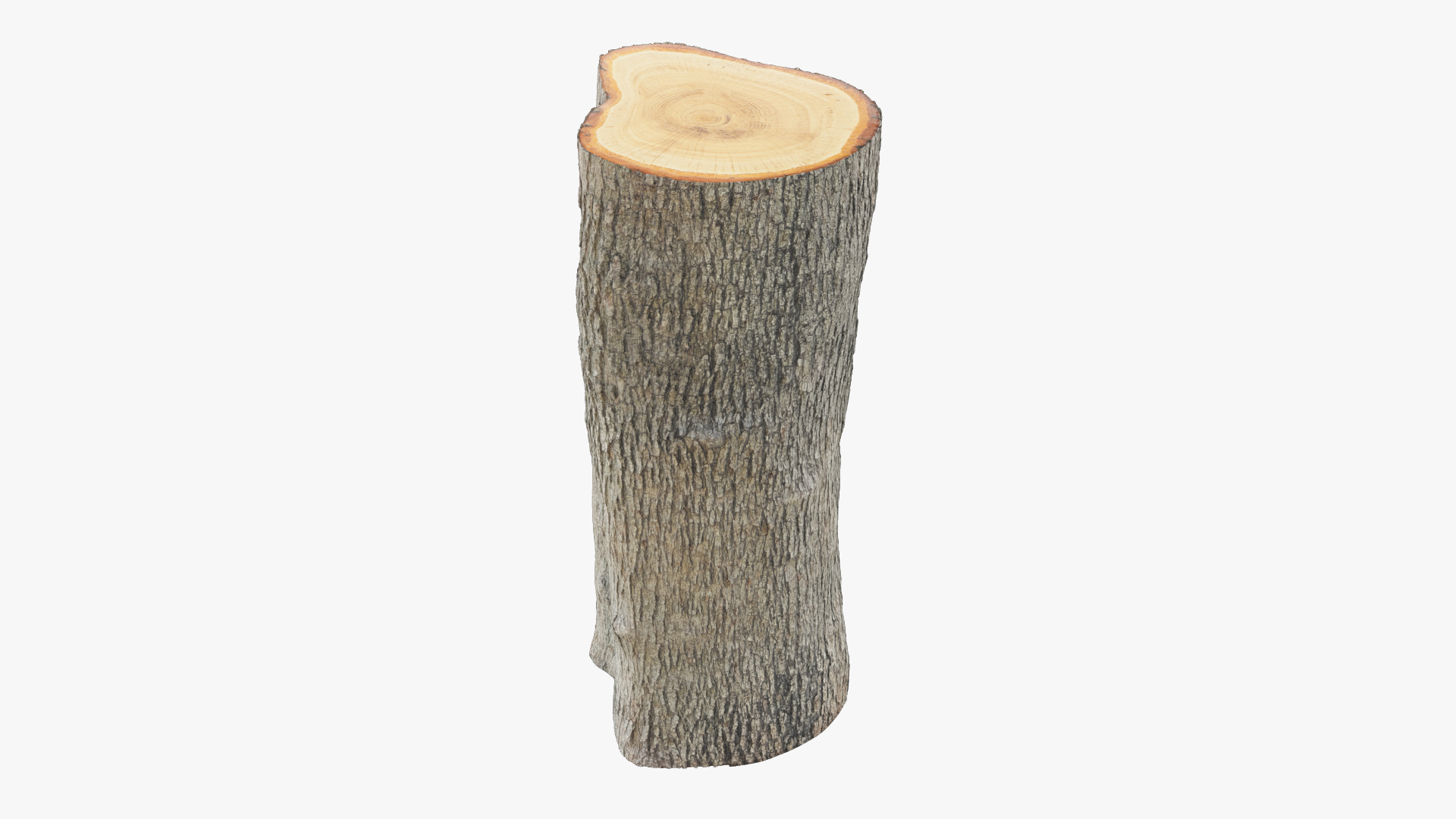 Logs Collection V6 3D model https://p.turbosquid.com/ts-thumb/aA/mOvprl/wM/log2render/jpg/1691882198/1920x1080/turn_fit_q99/8ce7de55a84cc6d633dace544f27be3f2ad4181f/log2render-1.jpg