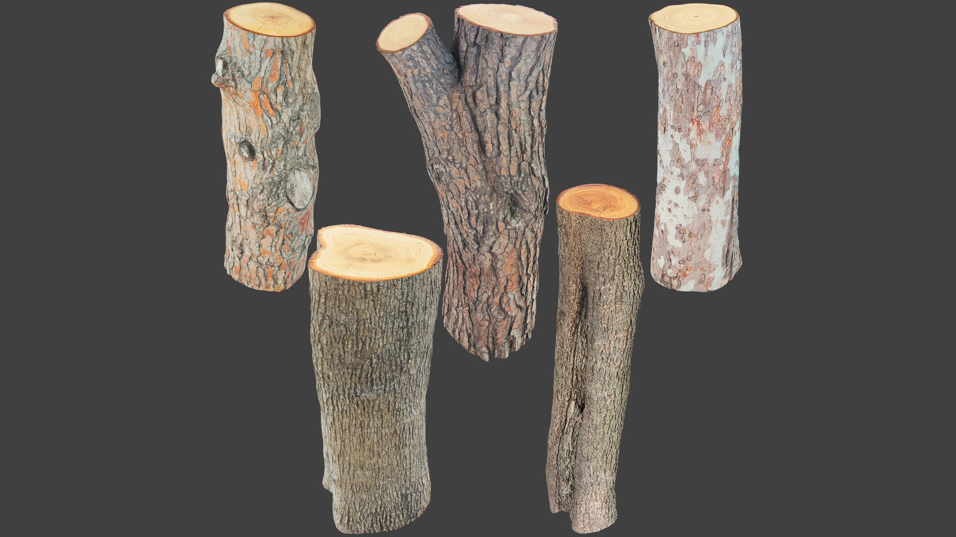 Logs Collection V6 3D model https://p.turbosquid.com/ts-thumb/aA/mOvprl/wQ/logc6_003/png/1695777211/1920x1080/fit_q87/ef4439f445f8b3d0298a76f04431c0b00c1661ef/logc6_003.jpg