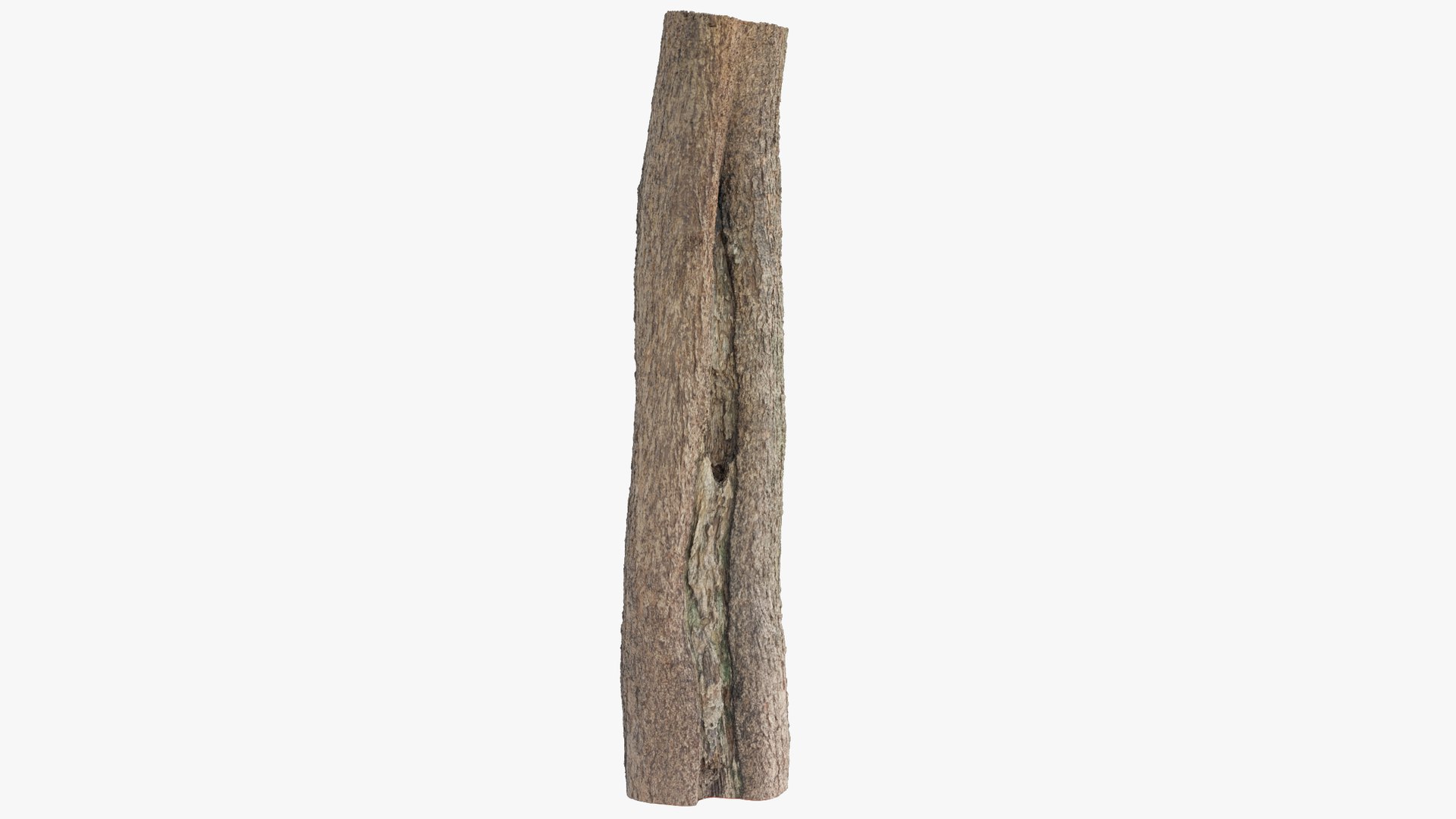 Logs Collection V6 3D model https://p.turbosquid.com/ts-thumb/aA/mOvprl/x5/log1_004_011/png/1695777890/1920x1080/fit_q87/49ba8ea357bf8ad0db20e8d741a9bcd7f1b21c3b/log1_004_011.jpg
