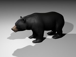 Realistic American Black Bear