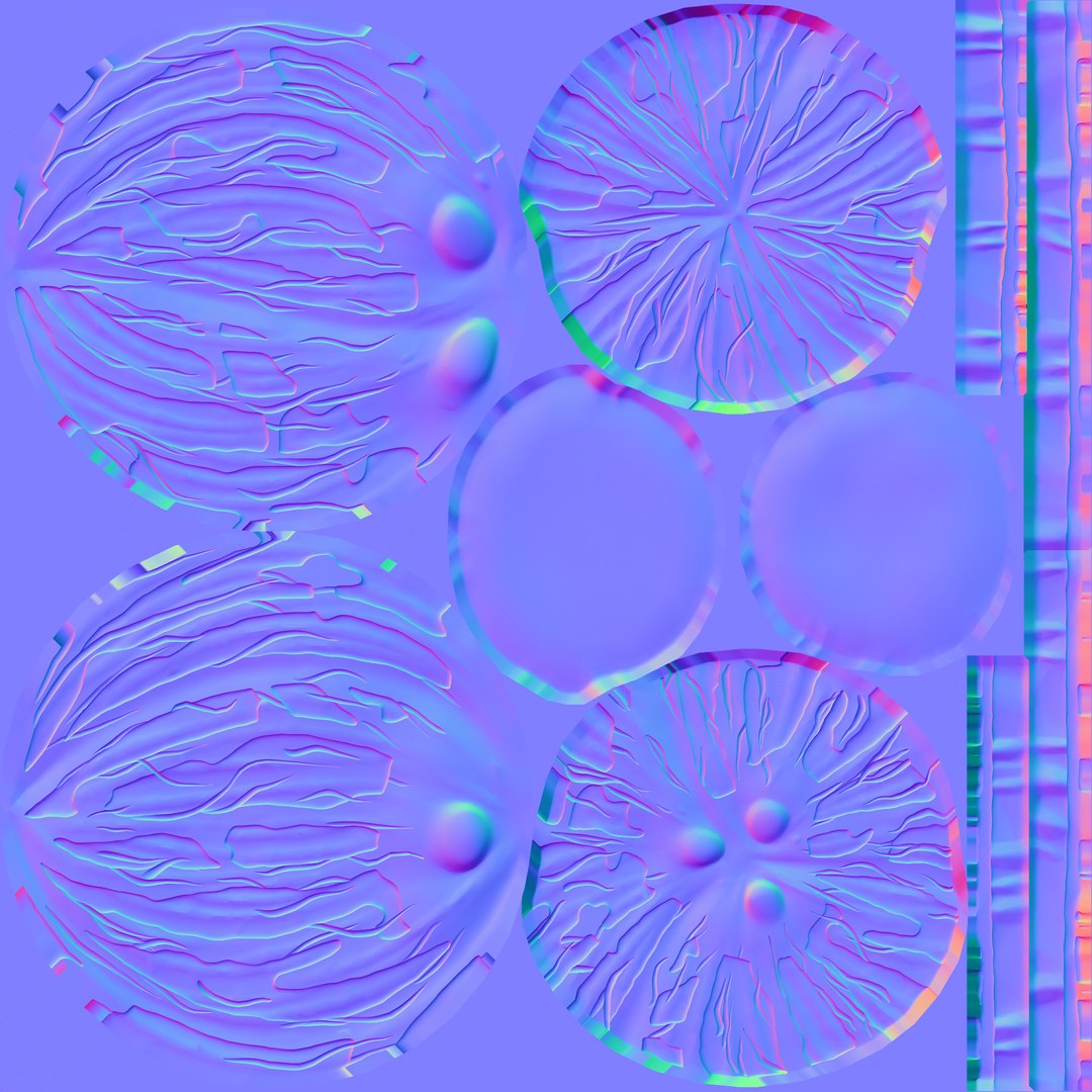 coconut model https://p.turbosquid.com/ts-thumb/aA/swCIcM/ab/t_coconut_n/png/1733341962/1920x1080/fit_q87/2fbbc0cb84d40fe4b320442facd81192ca4a3fb2/t_coconut_n.jpg
