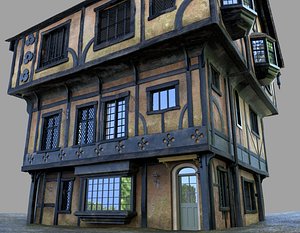 Wide Tudor House