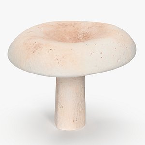 3D Milk Mushroom
