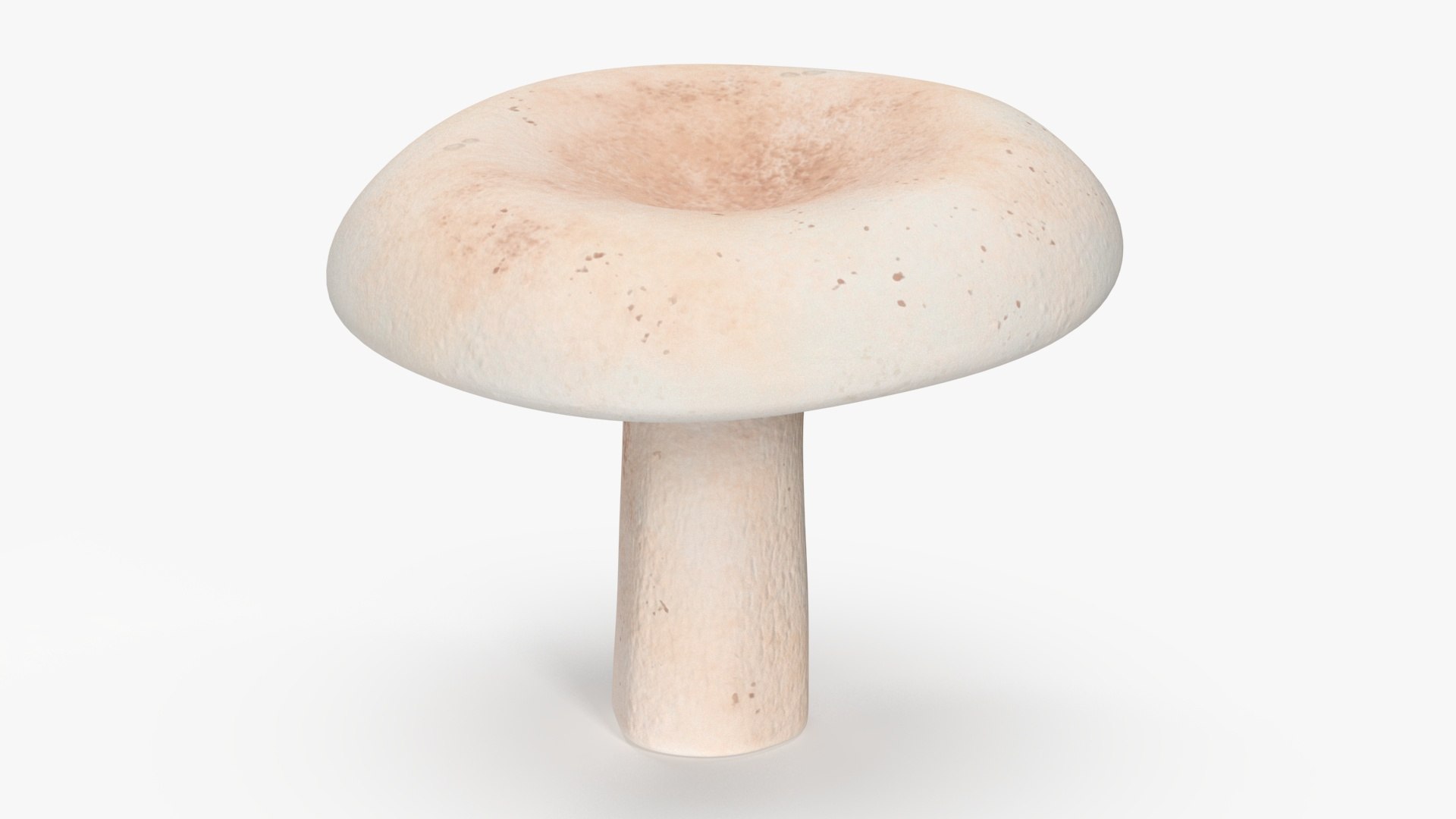 Milk Mushroom 3D model preview