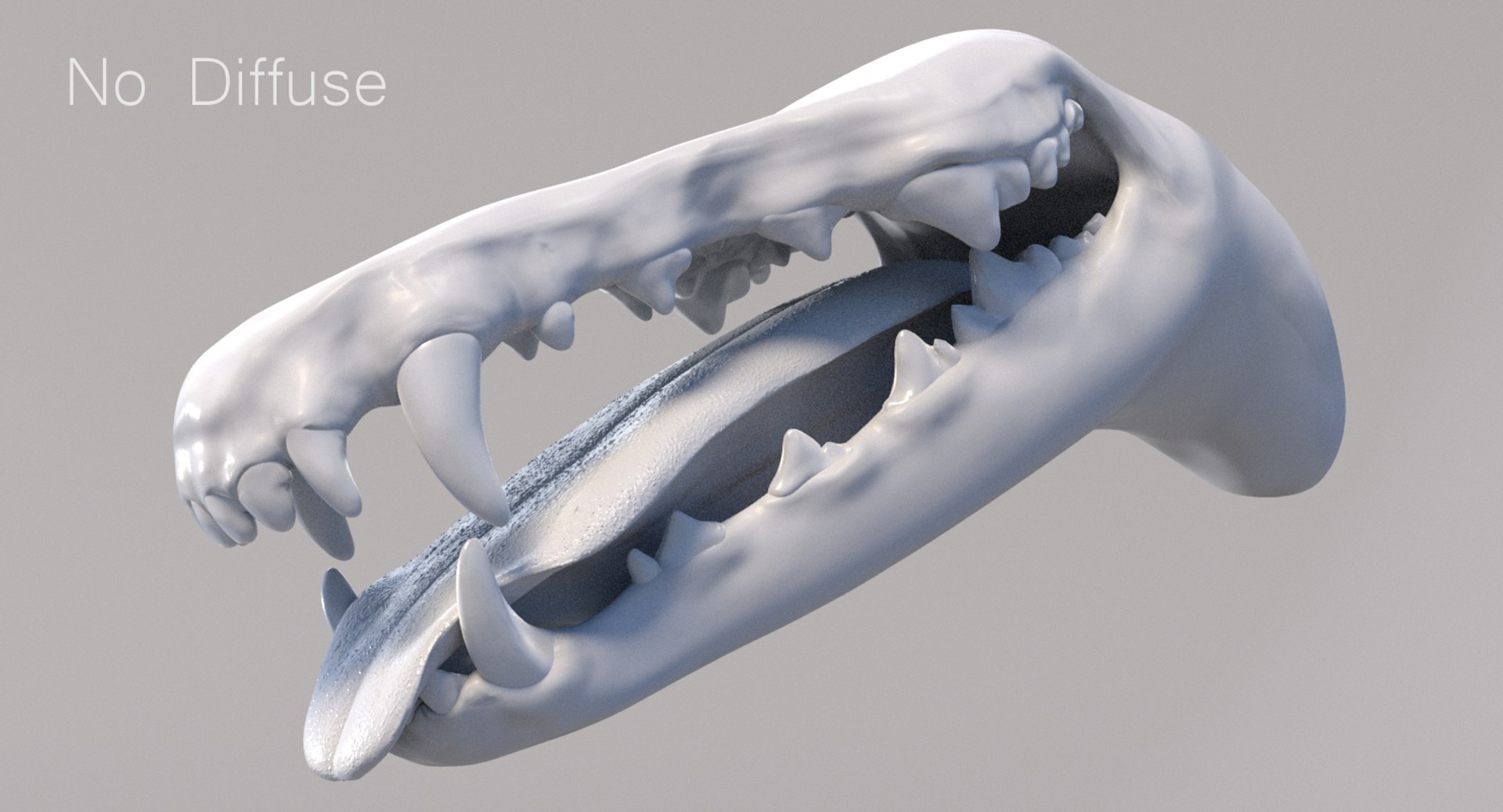 3D greyhound hound fur model https://p.turbosquid.com/ts-thumb/aB/X6QpFv/6L/mouth_add_09/jpg/1611749839/1920x1080/fit_q87/61d408599c1d8c7b82c596577763d80761bd1bbc/mouth_add_09.jpg
