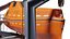 Modern Lifeboat and Davits