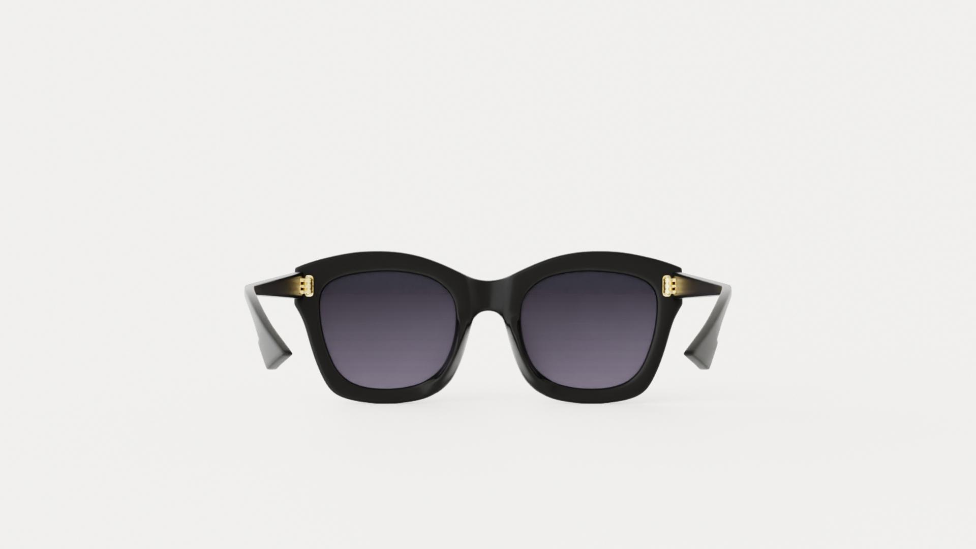 diorizon sunglasses