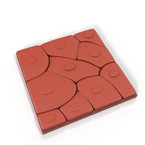 Squamous Epithelium for 3D Print