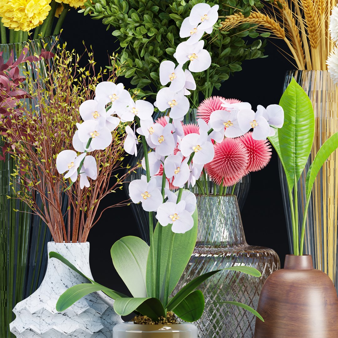 3D decorative plants collection vol 34-3dsmax-Blender model https://p.turbosquid.com/ts-thumb/aC/9gN718/E7/w5/jpg/1723726213/1920x1080/fit_q87/98df47f9080e394f08ab061ed057dfbdeb247b74/w5.jpg