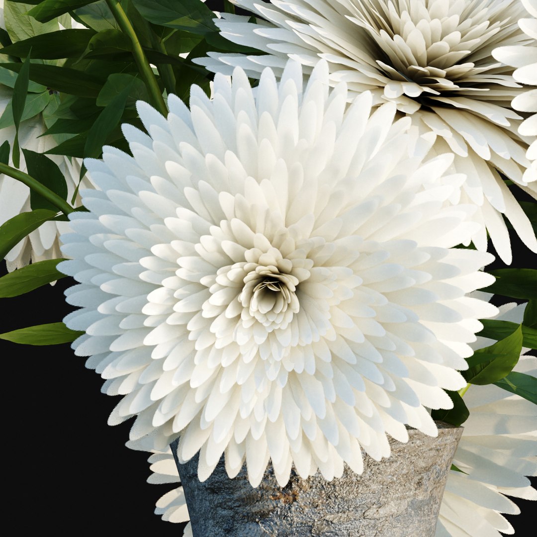 3D decorative plants collection vol 34-3dsmax-Blender model https://p.turbosquid.com/ts-thumb/aC/9gN718/KC/5/jpg/1712743609/1920x1080/fit_q87/8dce65696d6d926fedc74ad0134effd844d0f802/5.jpg