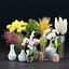 decorative plants collection vol 34-3dsmax-Blender