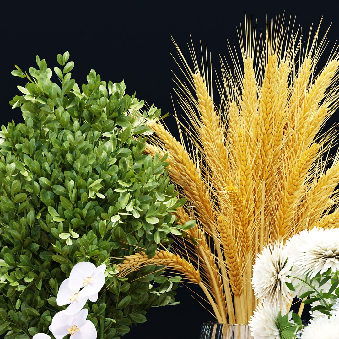 3D decorative plants collection vol 34-3dsmax-Blender model https://p.turbosquid.com/ts-thumb/aC/9gN718/oT/w3/jpg/1723726213/1920x1080/fit_q87/09a60f937a4a9acbd00551b5c73456e0f76b43b0/w3.jpg
