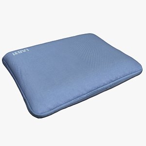 Laptop Case