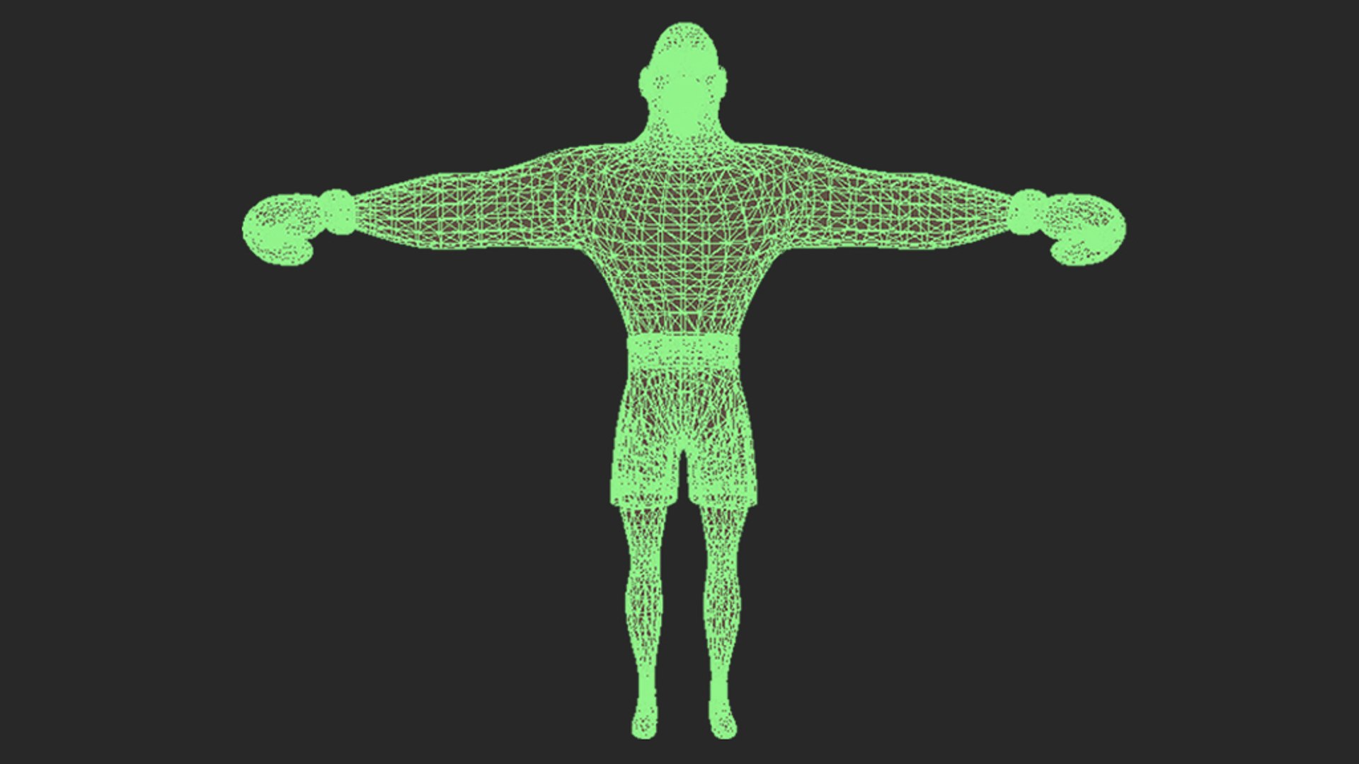 Boxer Character Model - TurboSquid 1600861