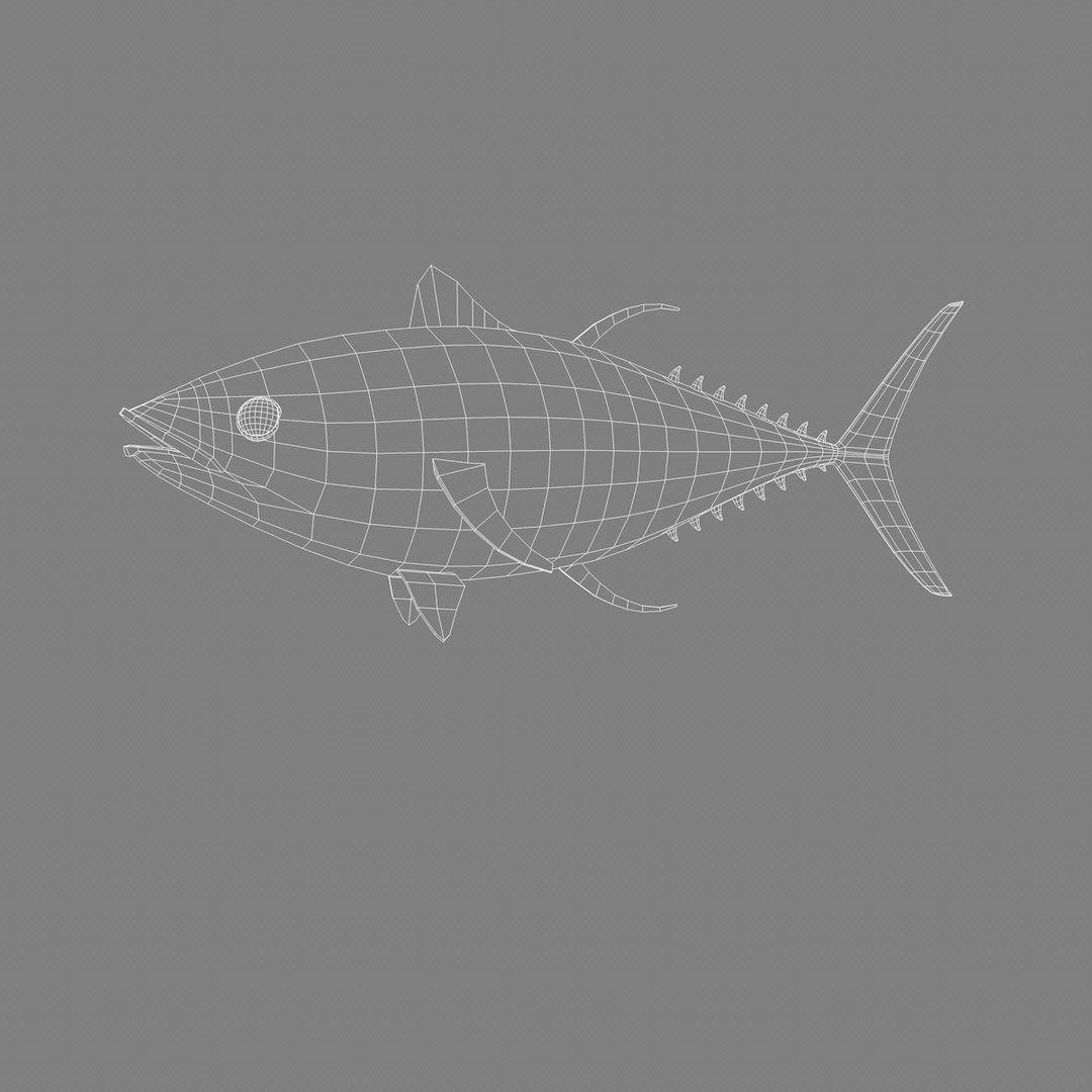 c4d tuna bluefin https://p.turbosquid.com/ts-thumb/aC/eZcDHT/TjQSj1Nf/008/jpg/1440794330/1920x1080/fit_q87/34d0b3ce289b539a435874460085e939cf1fc4de/008.jpg