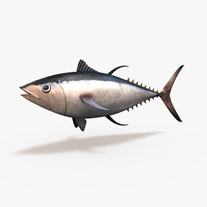 Tuna (Bluefin)