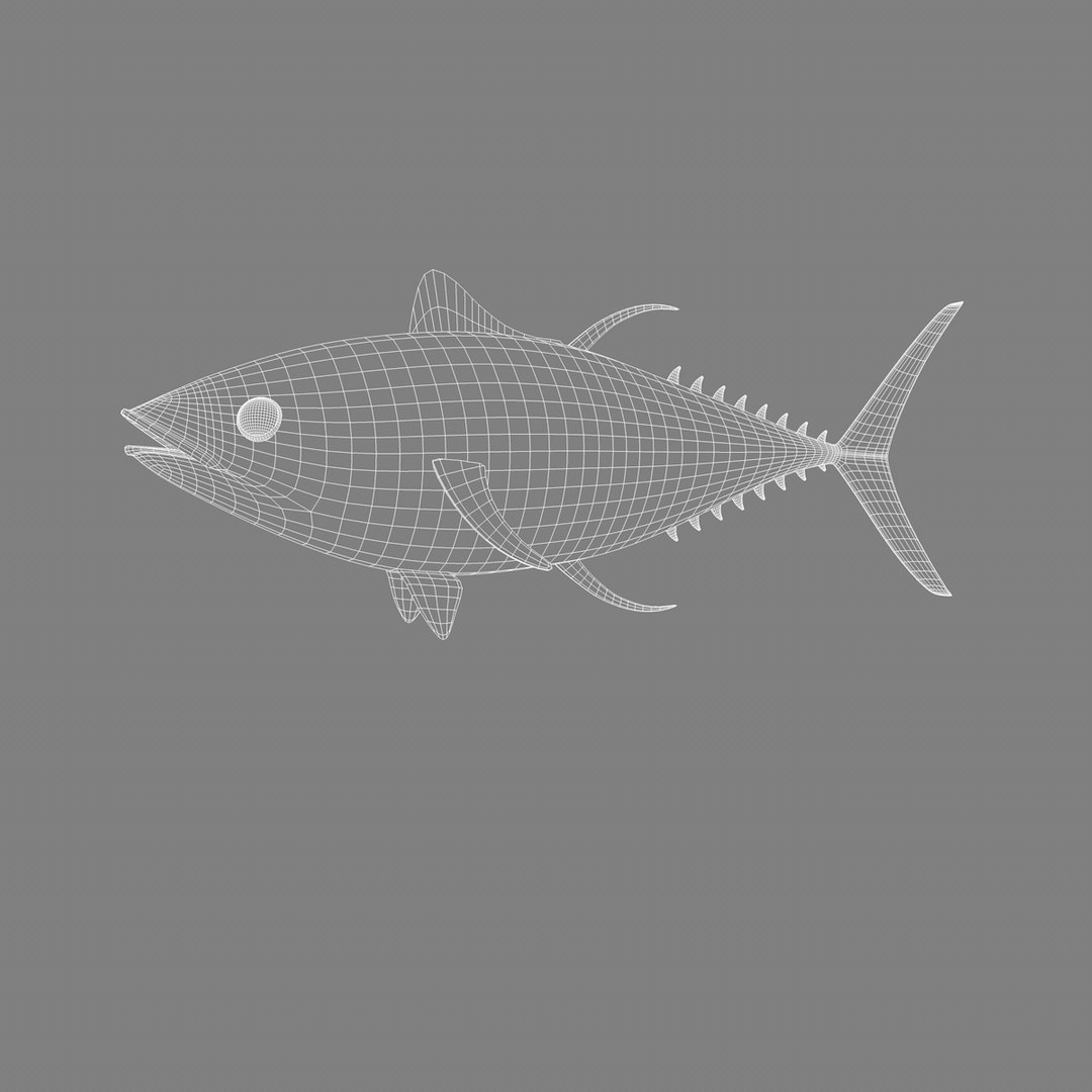 c4d tuna bluefin https://p.turbosquid.com/ts-thumb/aC/eZcDHT/hRt3oLTI/009/jpg/1440794330/1920x1080/fit_q87/e77e1d296551365d29ec8a570b5cf3be265643fb/009.jpg
