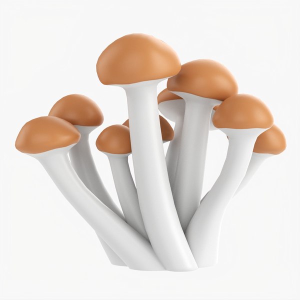 Honey mushrooms Armillaria mellea 3D