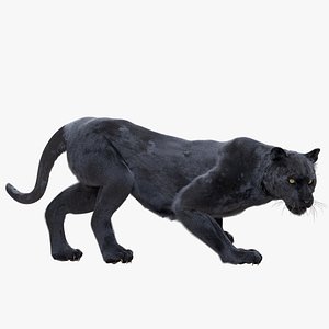 Panther Fur (Rigged)